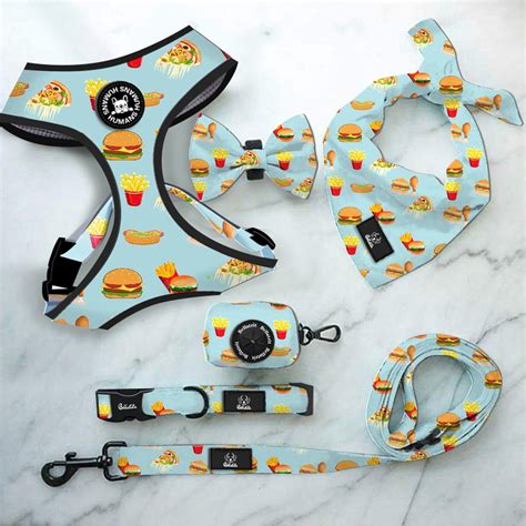 Pet Accessories Collection 